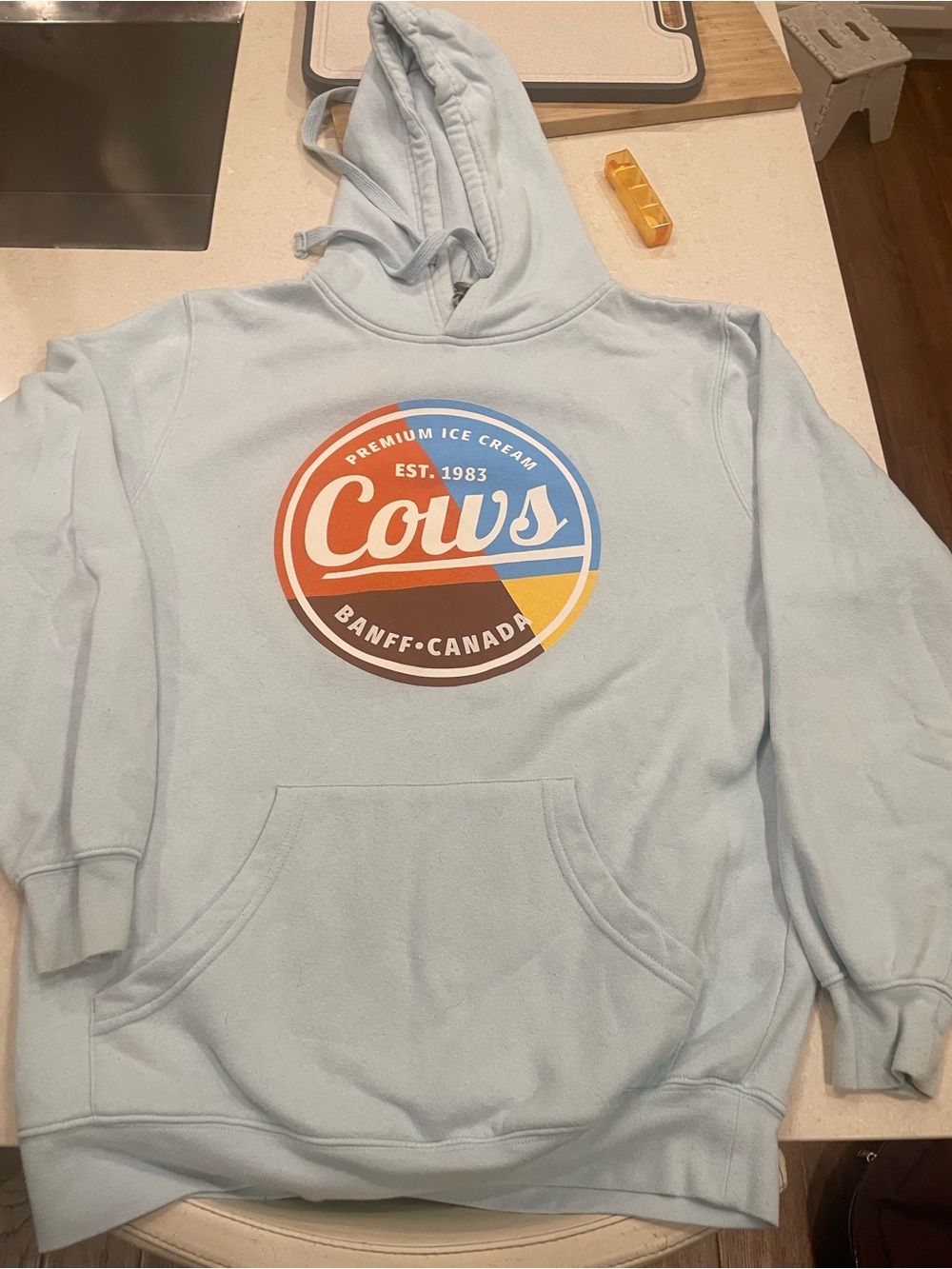 Banff Canada Light Blue Hoodie - Premium Ice Cream Logo